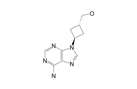 3-BETA-(6-AMINO-9H-PURIN-9-YL)-CYCLOBUTANE-1-ALPHA-METHANOL