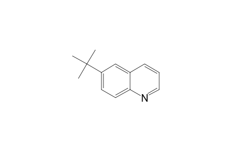 6-tert.Butylchinolin