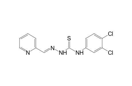 picolinaldehyde,4-(3,4-dichlorophenyl)-3-thiosemicarbazone