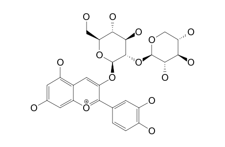 CYANIDIN-3-O-SAMBUBIOSIDE;CYANIDIN-3-O-(2''-O-BETA-XYLOPYRANOSYL-O-BETA-GLUCOPYRANOSIDE)