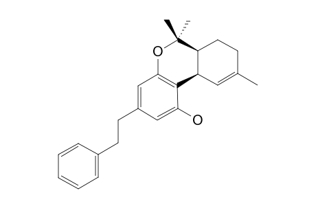 PERROTTETINEN