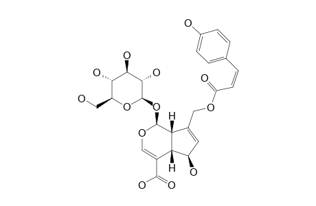 10-O-CIS-PARA-COUMAROYLSCANDOSIDE