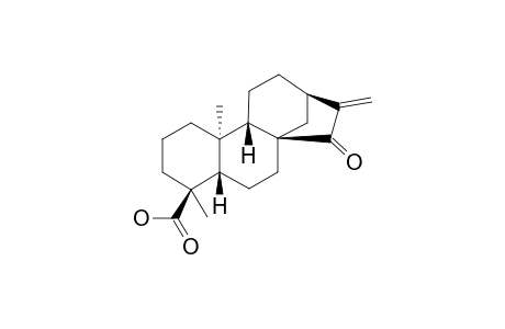 ENT-15-OXO-KAUR-16-EN-18-OIC_ACID