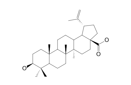 Betulinic acid