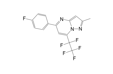 5-(4-fluorophenyl)-2-methyl-7-(1,1,2,2,2-pentafluoroethyl)pyrazolo[1,5-a]pyrimidine