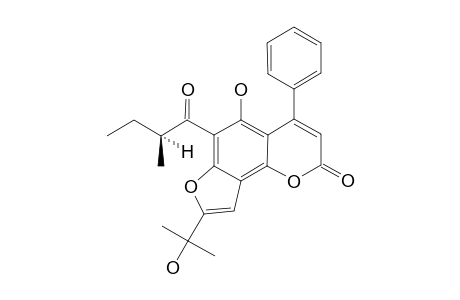 OCHROCARPIN-A;5-HYDROXY-8-(1-HYDROXY-1-METHYLETHYL)-6-(2-METHYL-1-OXOBUTYL)-4-PHENYL-2H-FURO-[2',3':5,6]-BENZO-[1,2-B]-PYRAN-2-ONE