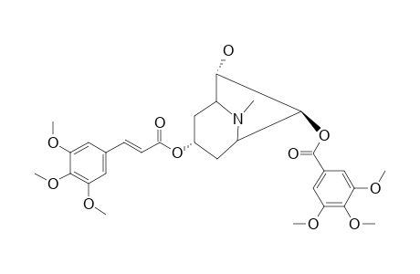 ERYTHRO-ROTUNDINE;3-ALPHA-(3,4,5-TRIMETHOXY-CINNAMOYLOXY)-7-BETA-(3,4,5-TRIMETHOXYBENZOYLOXY)-6-ALPHA-HYDROXY-TROPANE