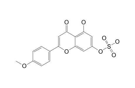 WISSADULIN;7-O-SULPHATE-ACACETIN