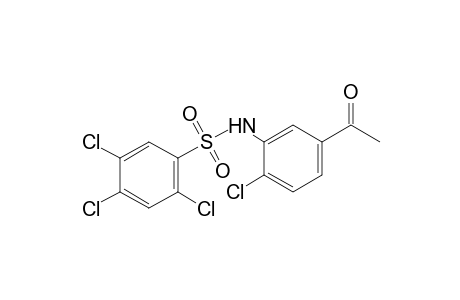 5'-acetyl-2,2',4,5-tetrachlorobenzenesulfonanilide