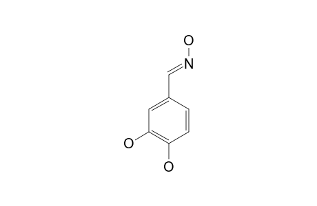 3,4-DIHYDROXY-BENZALDOXIME