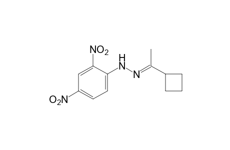 cyclobutyl methyl ketone, 2,4-dinitrophenylhydrazone