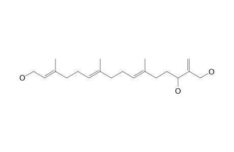 BOLETININ_D