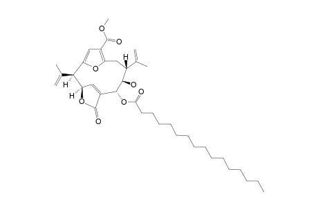 LIPIDYL_PSEUDOPTERANE_A