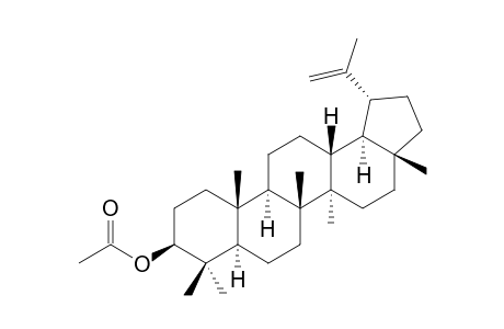 Lupeol acetate