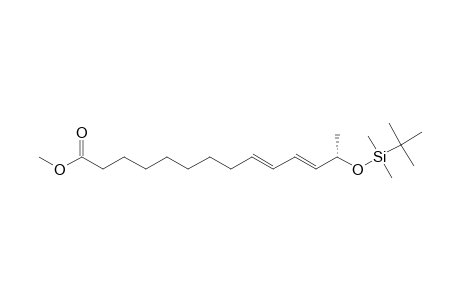 (13-S,9-E,11-E)-METHYL-13-TERT.-BUTYLDIMETHYLSILYLOXY-9,11-TETRADECADIENOATE