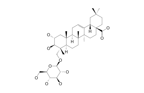 2-ALPHA,3-BETA-DIHYDROXY-23-BETA-D-GLUCOPYRANOSYLOXY-OLEAN-12-EN-28-OIC-ACID