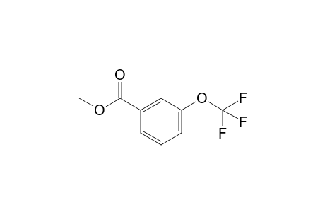 Methyl 3-trifluoromethoxybenzoate