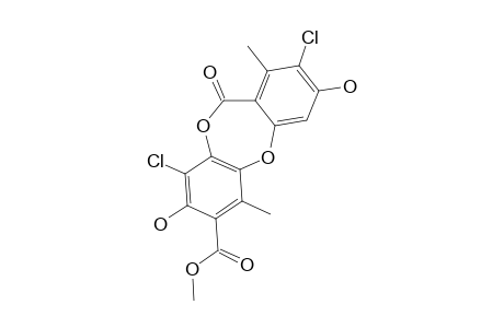 LECIDEOIDIN