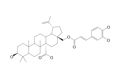 28-O-TRANS-CAFFEOYL-3-BETA,28-DIHYDROXY-20(29)-LUPEN-27-OIC-ACID