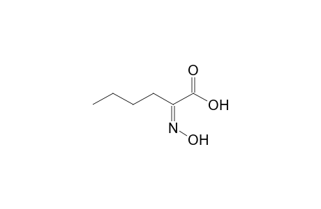 HEXANOIC ACID, 2-(HYDROXYIMINO)-