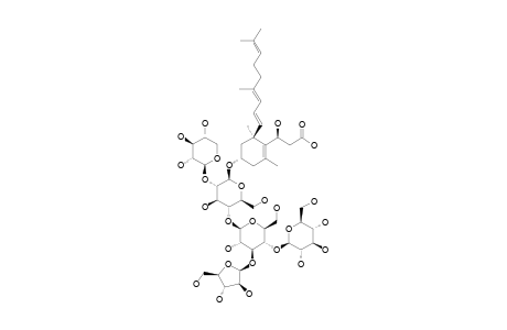 #1;WOODWARDINOSIDE;(4'R)-4'-O-[BETA-D-GLUCOPYRANOSYL-(1->4)-BETA-D-ARABINOFURANOSYL-(1->3)-BETA-D-GLUCOPYRANOSYL-(1->4)]-[BETA-D-XYLOPYRANOSYL-(1->2)]-BETA-D-G