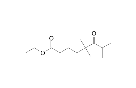 ETHYL-5,5,7-TRIMETHYL-6-OXO-OCTANOATE