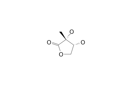 2,3-DIHYDROXY-2-METHYLBUTYROLACTONE