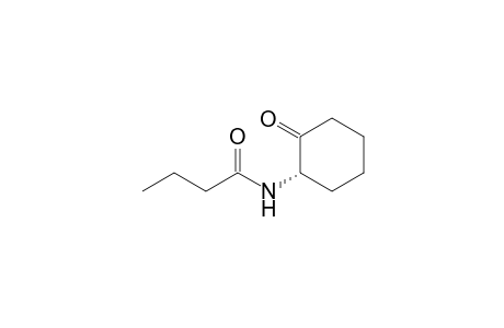 (1S)-N-(2'-Oxocyclohexyl)-butyramide