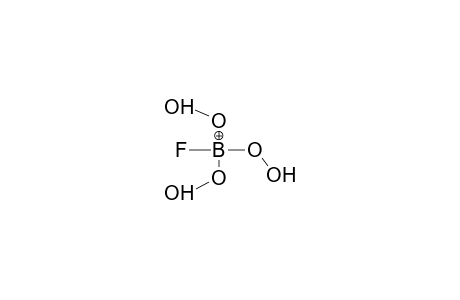 FLUOROTRIHYDROPEROXYBORATE ANION