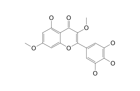 5,3',4',5'-TETRAHYDROXY-3,7-DIMETHOXY-FLAVONE