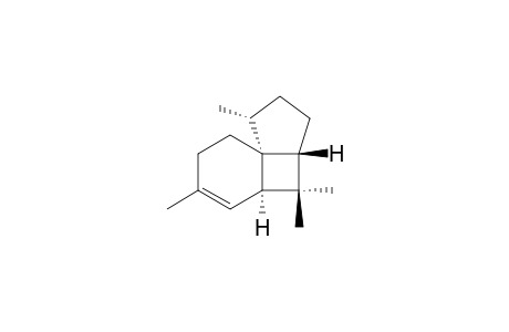 ISOITALICEN