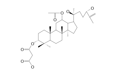 12-O-ACETYL-3-ALPHA,12-BETA,20(S),24(S)-TETRAHYDROXY-DAMMAR-25-EN-3-YL_HYDROGEN_PROPANEDIONATE