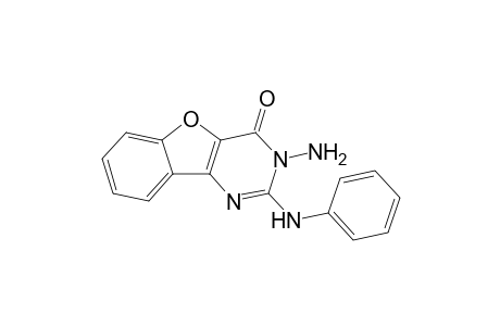 2-[Phenylamino]-3-aminobenzofuro[3,2-d]pyrimidin-4(3H)-one