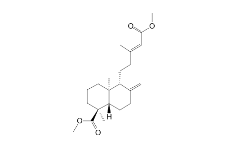 DIMETHYL-ENT-4-EPI-AGATHOATE