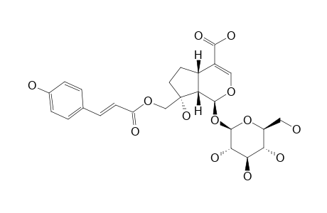 10-PARA-TRANS-COUMAROYL-1-S-DIHYDROMONOTROPEIN