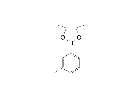 3-(4',4',5','5-TETRAMETHYL-1',3',2'-DIOXABOROLANYL)-TOLUENE