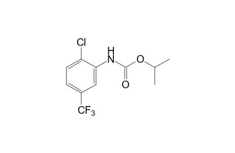 2-chloro-5-(trifluoromethyl)carbanilic acid, isopropyl ester