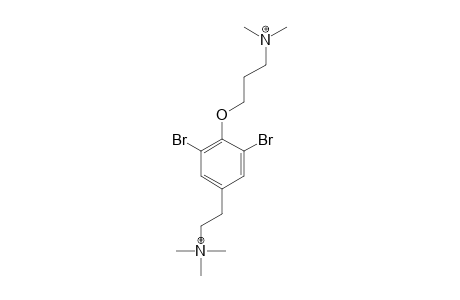 APLYSFISTULARINE