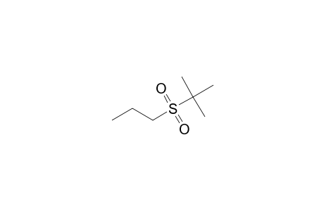 N-PROPYL-TERT.-BUTYL-SULFON