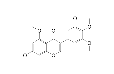 7,3'-DIHYDROXY-5,4',5'-TRIMETHOXY-ISOFLAVONE