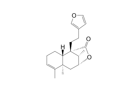 PTYCHONOLIDE