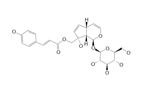 10-O-TRANS-COUMAROYL-ERANTHEMOSIDE