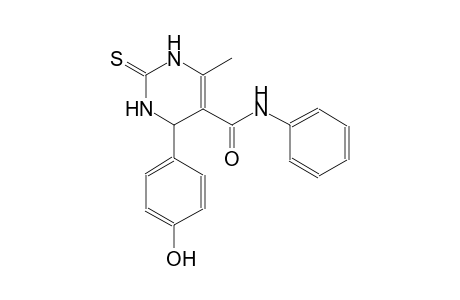 4-(4-hydroxyphenyl)-6-methyl-N-phenyl-2-thioxo-1,2,3,4-tetrahydro-5-pyrimidinecarboxamide