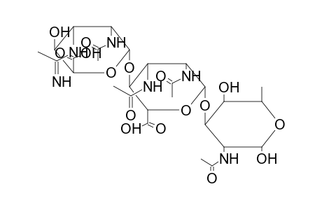 ALPHA-TRISACCHARIDE 1 (FROM PSEUDOMONAS AERUGINOSA O)