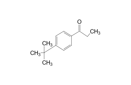 4'-tert-Butyl-propiophenone