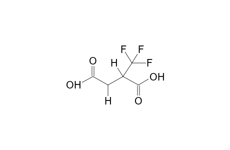 TRIFLUOROMETHYLSUCCINIC ACID