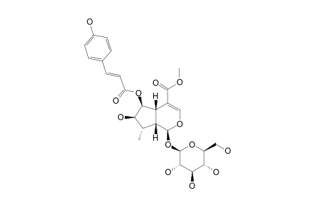 CAUDATOSIDE-C