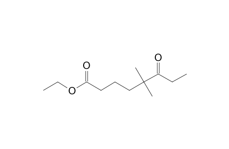 ETHYL-5,5-DIMETHYL-6-OXO-OCTANOATE