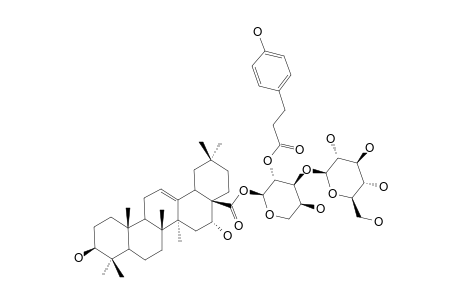 28-O-[GLUCOPYRANOSYL-(1->3)-2-[3-(4-HYDROXYPHENYL)-PROPIONYLOXY]-ARABINOPYRANOSYL]-ECHINOCYSTIC-ACID-ESTER