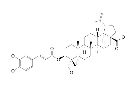 3-BETA,23-DIHYDROXY-LUP-20(29)-EN-28-OIC-ACID-3-BETA-CAFFEATE